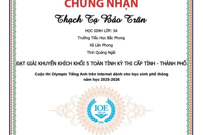 KỲ THI IOE CẤP TỈNH NĂM HỌC 2025–2026