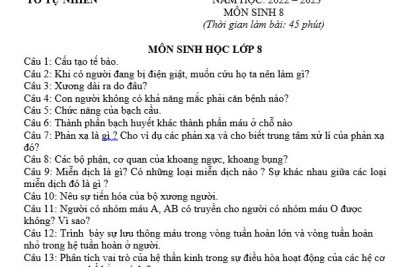 Gặp gỡ, giao lưu nhân kỉ niệm 40 năm Ngày nhà giáo Việt Nam 20/11
